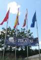 8041_Piratas
