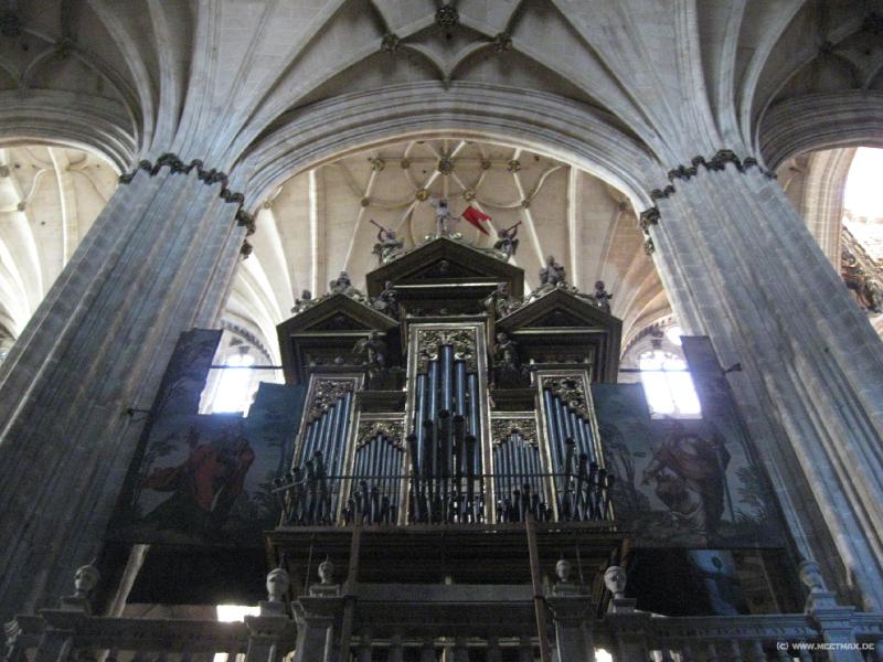 8117_Catedral