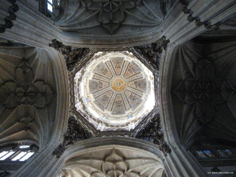 8118_Catedral