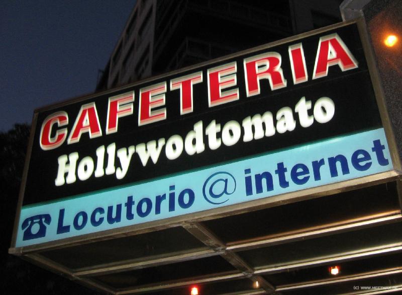8126_Hollywodtomato