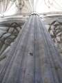 8114_Catedral