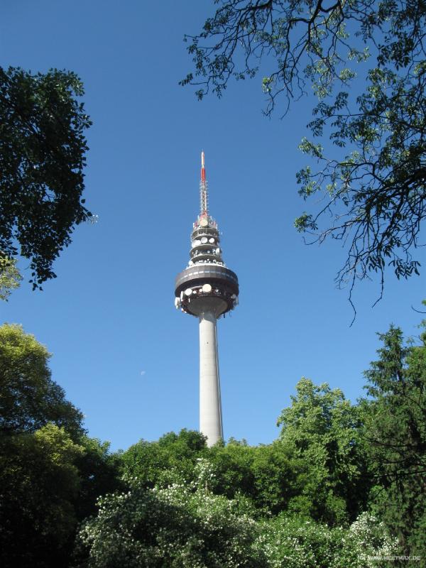 8171_Torre_Espana