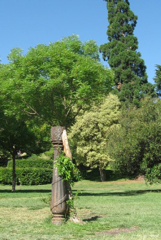 8174_Parque_de_la_Fuente_del_Berro