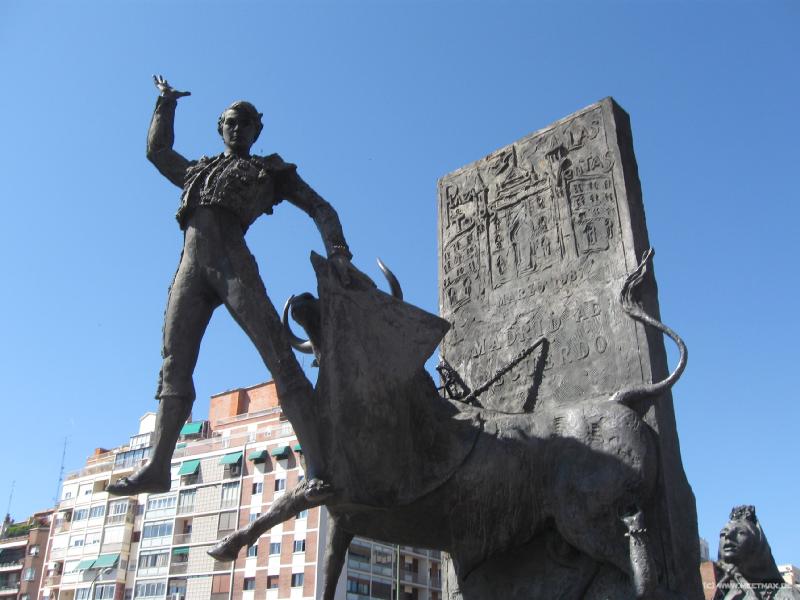 8180_Torero