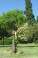 8174_Parque_de_la_Fuente_del_Berro