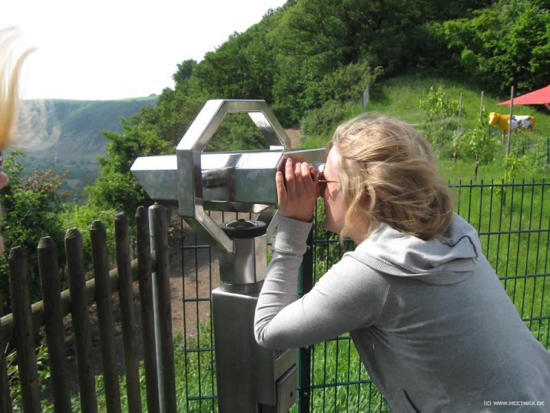 8212_Moselblick