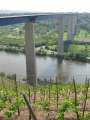 8214_Moselblick