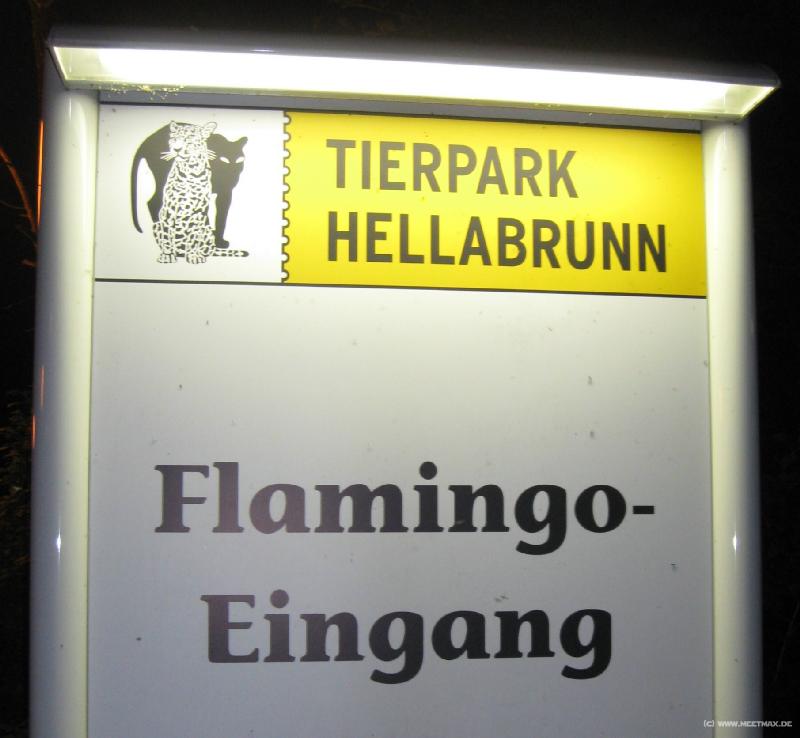 8278_Flamingo-Eingang