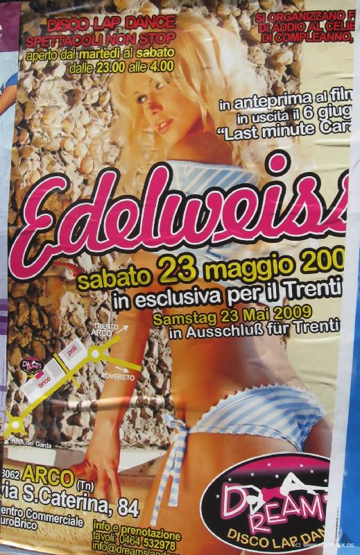 8573_Edelweiss