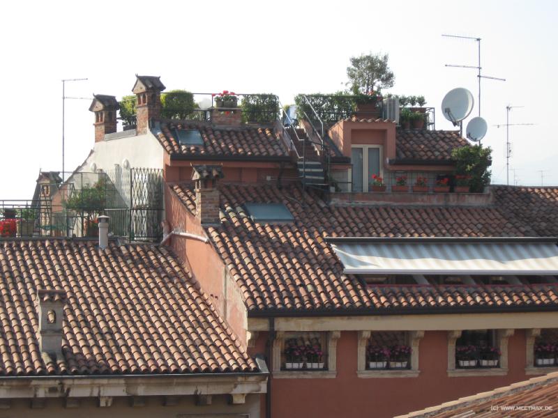 8645_Roof_garden