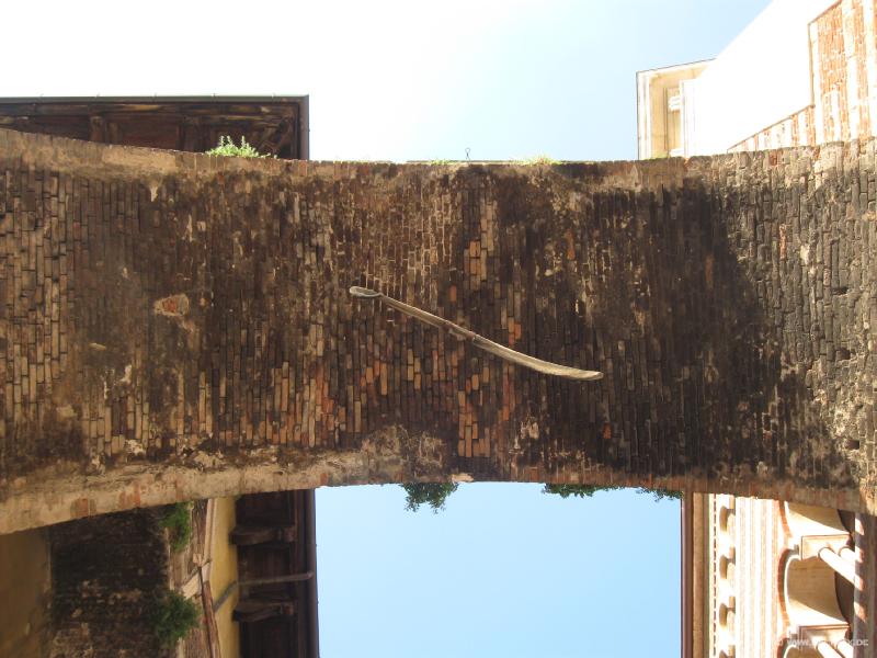 8675_Arco_della_Costa_whale_bone