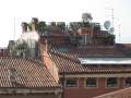 8645_Roof_garden
