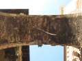 8675_Arco_della_Costa_whale_bone