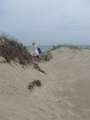 9108_Marina_di_Ravenna