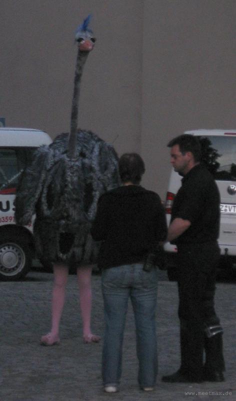 0526_Big_bird