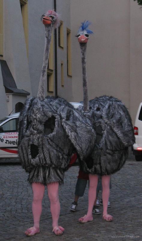 0527_Big_birds
