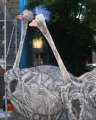 0528_Big_birds