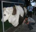 0530_The_cow