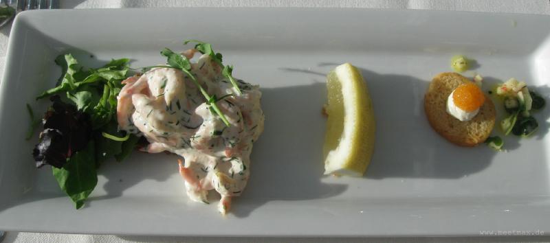1151_Starter