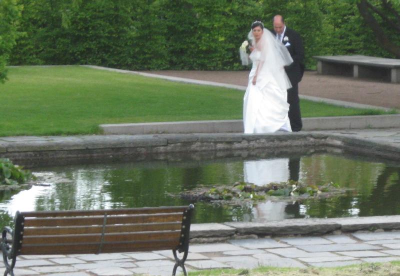 1339_Wedding_photo