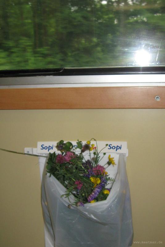 1416_Flowers_in_the_train