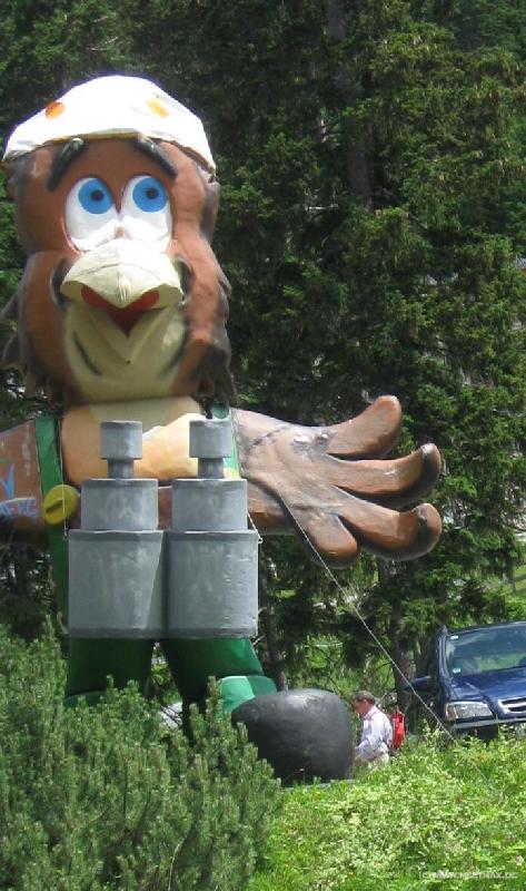 2605_Katschberg-Vogel