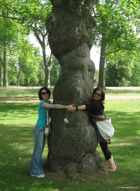 2944_Treehuggers