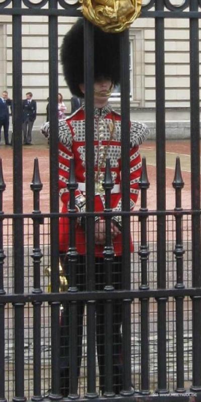 3036_Guard