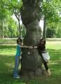 2944_Treehuggers