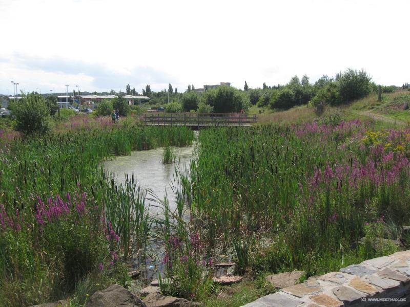 3523_Grangemore_Parc