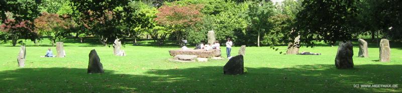 3541_Druid_stones