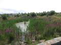 3523_Grangemore_Parc