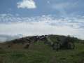 3524_Grangemore_Parc