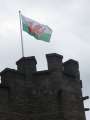 3558_Cardiff_Castle