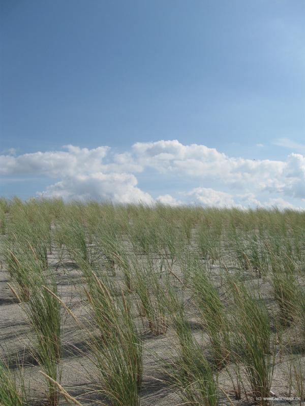 3645_Graal_M�ritz_Strand