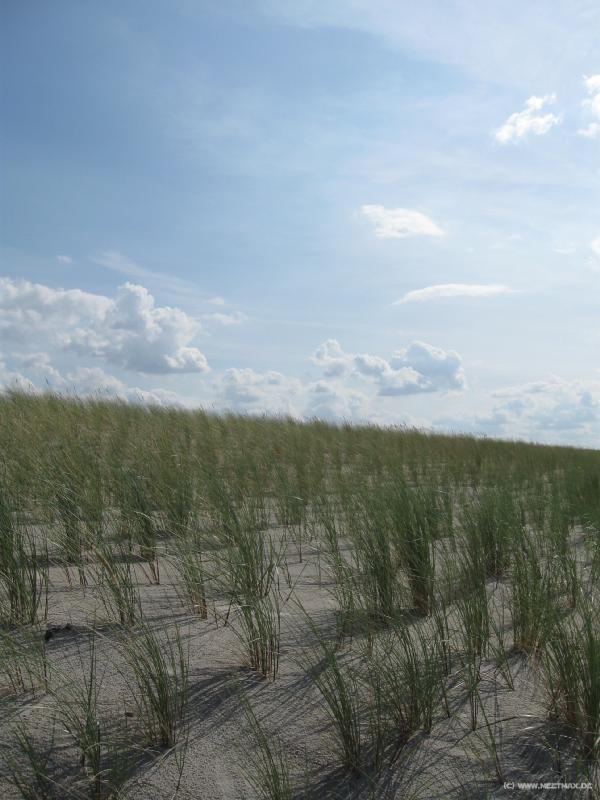 3646_Graal_M�ritz_Strand