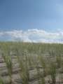 3645_Graal_M�ritz_Strand