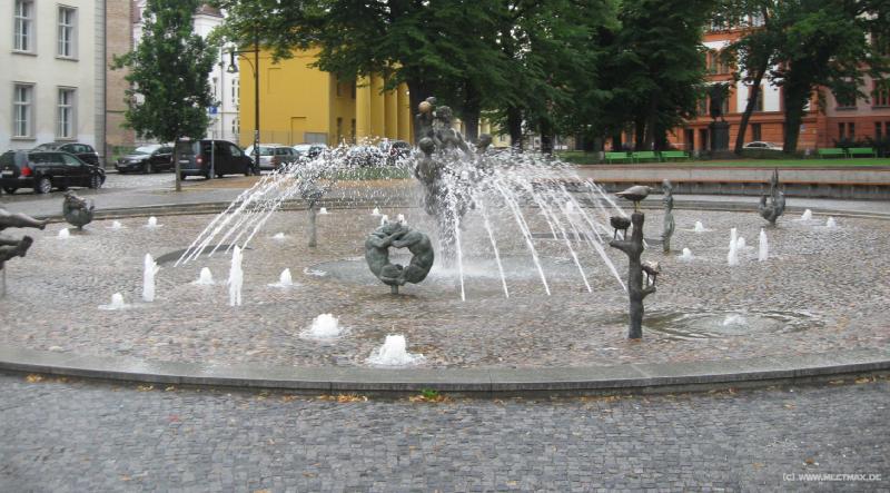 4456