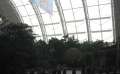4823_Tropical_Islands