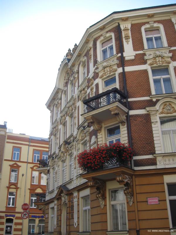 6319_Decin