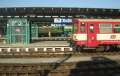 6313_Decin