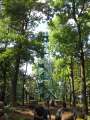 6370_Studenec-Turm