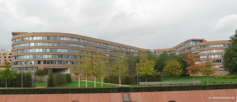 6717_Bundesschlange