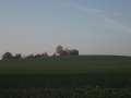 7801_G�nnsdorf