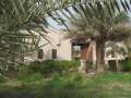 8335_Al-Shamiya_Gate