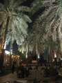 8446_Lebanese_restaurant