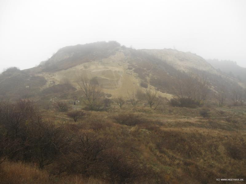 8786_Sandberg