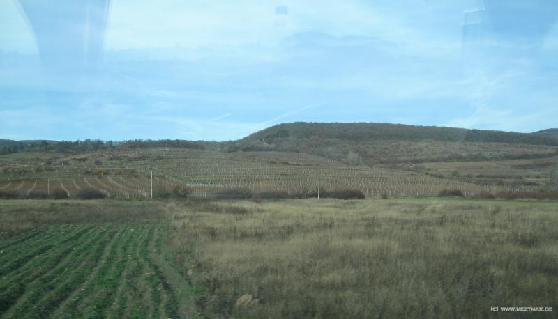 9000_Wineyard