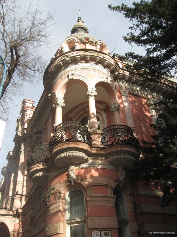 9019_Pink_house