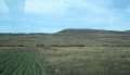9000_Wineyard